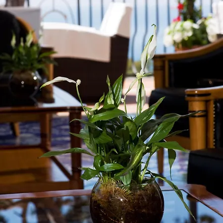 Casa Morgano 카프리