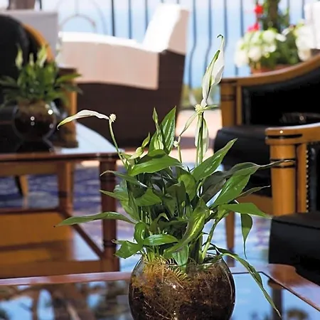 Casa Morgano Hotel 5*